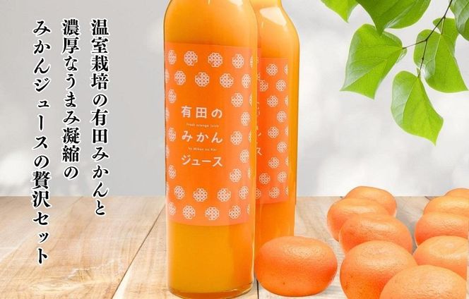 【お中元】夏の有田みかん (約1kg) と有田のみかんジュース（500ml×2本）和歌山県産 産地直送【7月上旬～8月上旬に順次発送】 AX156-GFT
