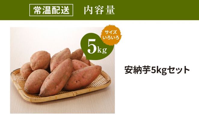 農家直送　木城町産　熟成安納いも5㎏ K30_0001_1