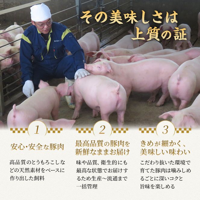 もちぶた 3種 食べ比べ ハンバーグ 140g 唐揚げ 250g  味噌漬け