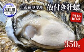訳あり 北海道 厚岸産 殻付き 牡蠣 350g 魚貝類 生牡蠣 海の幸 海鮮 オイスター 濃厚な甘み グルメ マルえもん