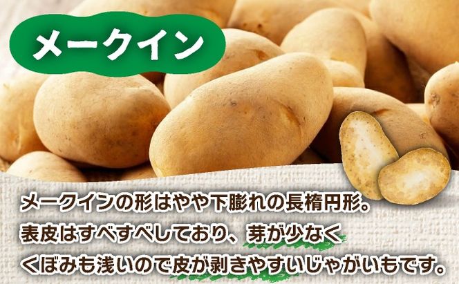 ＜先行予約＞北海道産 じゃがいも(メークイン) 約5kg | ジャガイモ 馬鈴薯 ポテト 芋 イモ 国産 野菜 人気 ふじいファーム