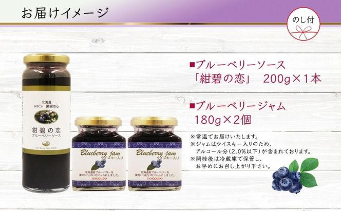 無地熨斗 北海道産 ブルーベリーソース 1本 ブルーベリージャム 2個 セット ジャム瓶 ブルーベリー 詰め合わせ のし付き フルーツ 果物 自然農園 お取り寄せ ギフト 贈り物 産地直送 のし 北海道 仁木町 