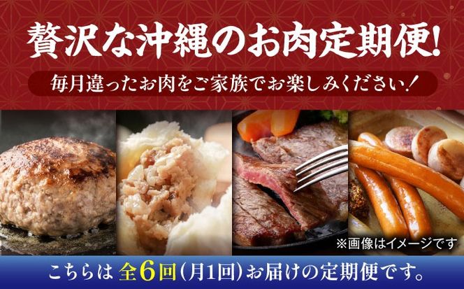 【全6回定期便】家族で満喫！沖縄のお肉贅沢セット【沖縄市】ハンバーグ あぐー 石垣牛 ステーキ 焼肉 冷凍 ギフト お取り寄せ 沖縄市 / お肉屋本店 / 豚々茶舗 / TESIO / 肉のサブロー[BCZZ034]