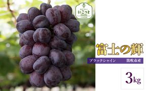 【2026年発送★先行予約】富士の輝 3キロ 097-018-26y