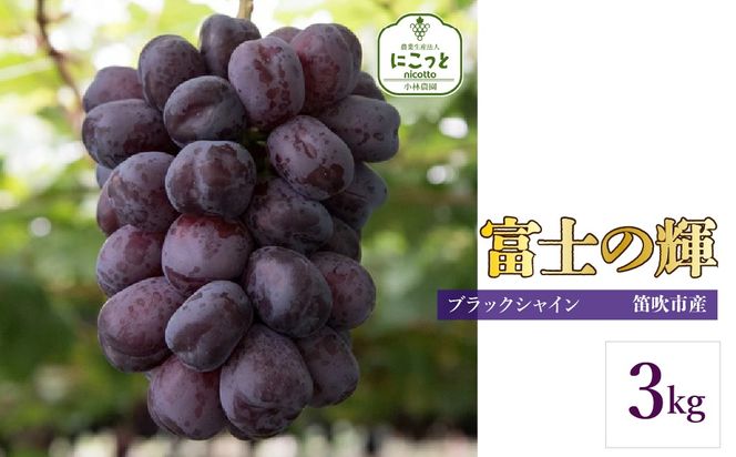 【2026年発送★先行予約】富士の輝 3キロ 097-018-26y