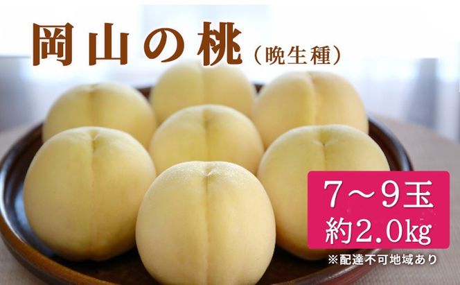 桃 2026年 先行予約 特選 岡山の白桃 7～9玉 約2kg 晩生種 もも モモ 岡山県産 国産 フルーツ 果物 ギフト いろは堂
