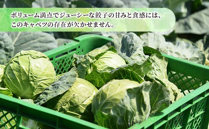 ボリューム満点 手作り冷凍餃子 150個 (15個×10袋)［錦華園］【 野菜 キャベツ たっぷり 厚い 手包み 手作り もちもち モチモチ 汁 町中華 中華 北海道 十勝 幕別 】