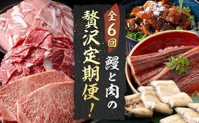 【定期便全6回】鰻と肉の贅沢定期便！鰻とお肉が交互に届くお楽しみ便 t0100-029