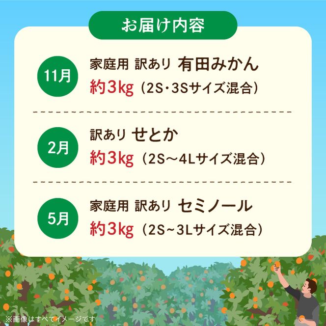 北野農園の旬の柑橘定期便（訳あり・家庭用）【全3回】_DZ60-T01