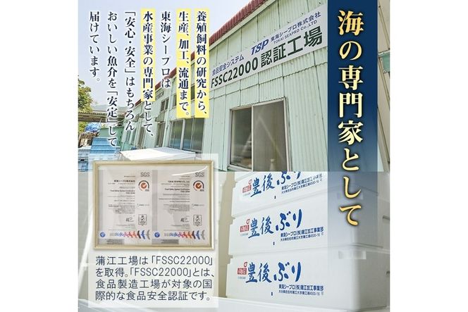 豊後ぶりフィーレ (計約1.1kg) 鰤 真空パック 刺身 さしみ 刺し身 照り焼き ブリしゃぶ しゃぶしゃぶ 大分県 佐伯市【GD002】【東海シープロ (株)】