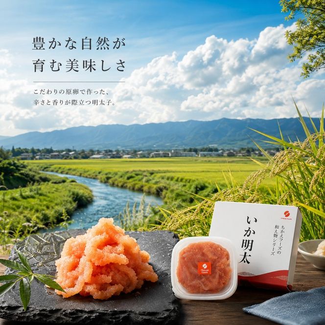 いか明太 140g×4 明太子 めんたいこ 加工品