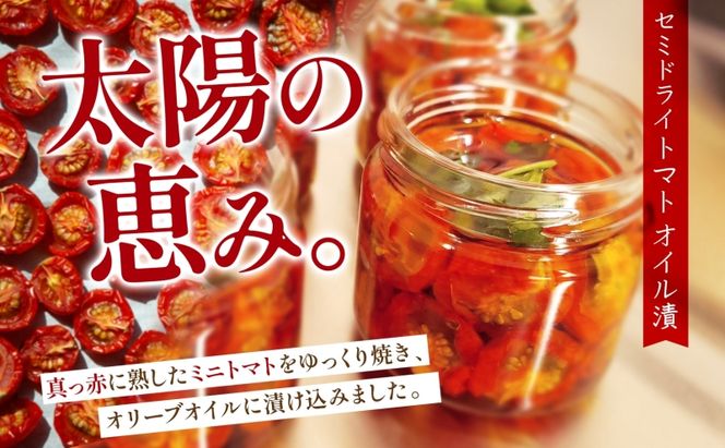 北海道 セミドライトマト オイル漬け 45g×2個 95g×2個 計4個 2026年8月上旬から発送トマト 完熟 野菜 乾燥野菜 健康 リコピン 国産 オリーブオイル パスタ ピザ バケット 保存食 瓶詰 瓶 贈り物 ギフト ベジLABO月形
