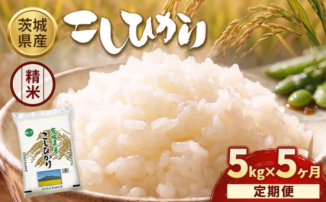 【定期便5ヶ月】【令和8年産】茨城コシヒカリ 5kg×1袋【精米】 | お米 米 こしひかり 茨城県産 白米 ブランド米 小分け