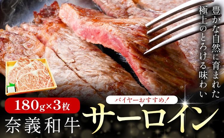 奈義和牛 サーロイン バイヤーおすすめ! 180g × 3枚 株式会社 天満屋[30日以内に出荷予定(土日祝除く)]岡山県 矢掛町 和牛 牛肉 肉 ステーキ 自宅用 贈答用 送料無料---osy_ctmynsl_30d_25_35000_540---
