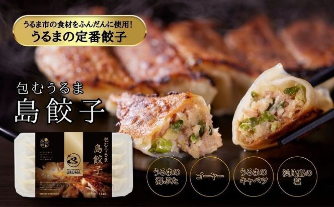 【ふるさと納税】包むうるま餃子 4種セット（島餃子・鶏塩餃子・チャンプルー餃子・車海老餃子）　 餃子　豚肉　ゴーヤー　車海老　沖縄　中華