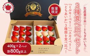 満足3種食べ比べセット（ミルキーベリー、スカイベリー、とちあいか）400g×2パック 800g｜先行予約 数量限定 栃木県 果物 くだもの フルーツ 苺 イチゴ ※2027年1月～発送