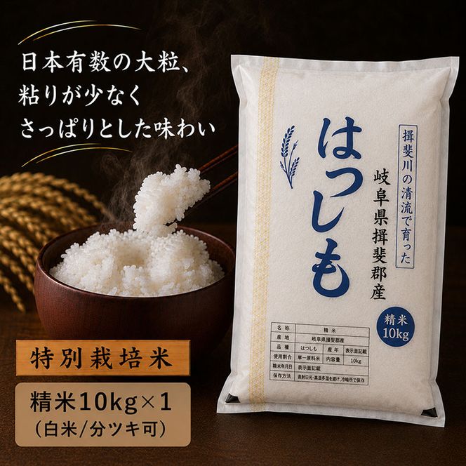 【令和7年産】特別栽培米 10kg【白米、7分ツキ】（ハツシモ）