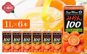 みかん100 1L×6本