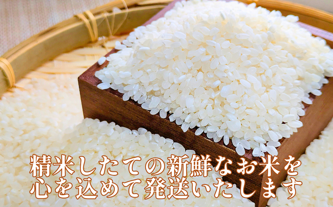 新米 令和7年産 にじのきらめき 5kg 17000円 奥山の冷たい水で育てた 愛媛県 愛南町産 石川さんちのお米 送料無料 産地直送 農家直送 米 こめ ブランド米 新品種 大粒 もっちり 甘い 冷めても美味しい お弁当 おにぎり にもおすすめ 数量限定 期間限定 特産品 人気 ランキング ギフト 贈答 プレゼント 内祝い お返し お取り寄せ 愛媛県 愛南町 石川健一