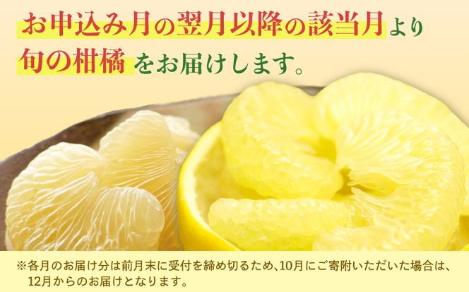 【4回定期便】バラエティ文旦 贅沢コース〈水晶文旦・温室文旦・贈答品 土佐文旦 〉/ 文旦 ぶんたん ブンタン 土佐文旦 水晶文旦 温室文旦 柑橘 フルーツ 果物 くだもの 定期便【白木果樹園】 [BQAI061]