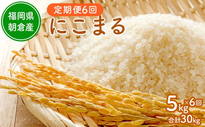 令和8年度産米 定期便 6ヶ月 にこまる 5kg 福岡県朝倉産 白米 精米 お米