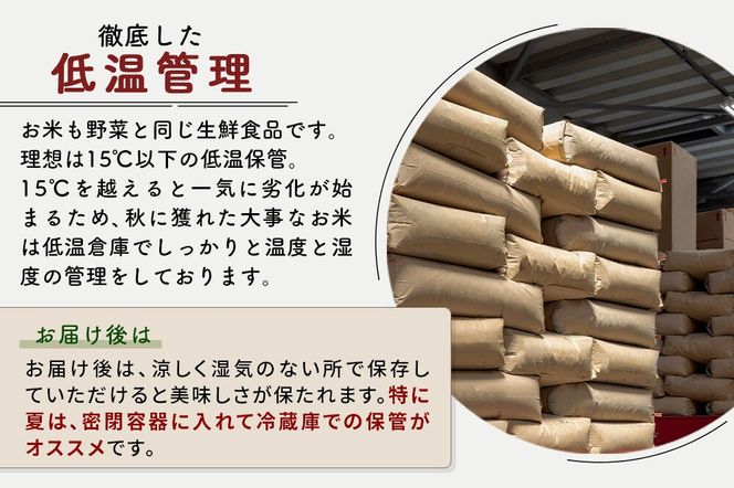 ※令和7年産※《定期便3ヶ月》秋田県産 あきたこまち 80kg【白米】(5kg小分け袋) 2025年産 お届け周期調整可能 隔月に調整OK お米 藤岡農産 [藤岡農産 秋田 お米 あきたこまち 米どころ 東北 北秋田市 定期便 毎月お届け]|foap-11503
