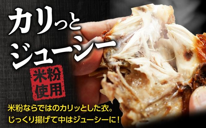 半身からあげ（スパイス味）3本セット_a0306_hi