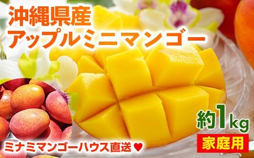 [2025年発送]ミナミマンゴーハウスのアップル ミニマンゴー約1kg[家庭用]- ご家庭用 沖縄県産 産地直送 南国フルーツ 旬の味覚 アップルマンゴー ご自宅用 オススメ 沖縄県 八重瀬町