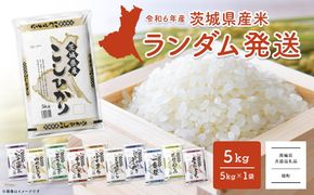 K2464【令和6年産】※ランダム※ ＜2025年01月内発送＞  お米 5kg  茨城県産 白米