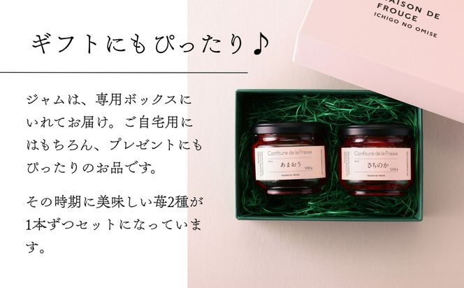 【MAISON DE FROUGE】季節の自家製いちごジャム 2種・各100g｜人気いちごスイーツ [ 苺スイーツ専門店 苺と砂糖のみで作られたジャム 果肉ごろごろ あまおう さちのか 紅ほっぺ おいCベリー おすすめ 手作りジャム ギフト プレゼント お取り寄せ 通販 送料無料 ふるさと納税 ] 261009_B-VV04