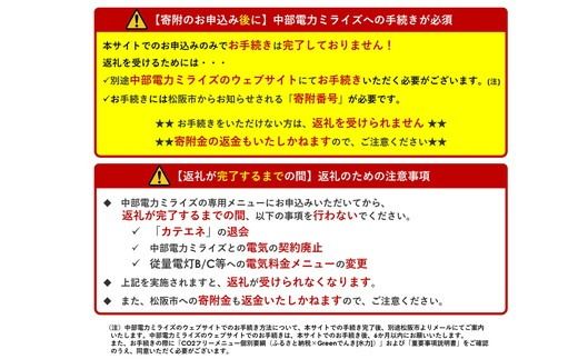 松阪市産CO2フリーでんき30,000円コース【3-181】