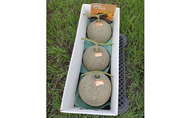 【2026年7月～発送】北海道 富良野市 ふらの赤肉 メロン 3玉 計 約6kg (中島農園) メロン フルーツ 果物 新鮮 甘い 贈り物 ギフト 道産 ジューシー おやつ ふらの ブランド 夏 