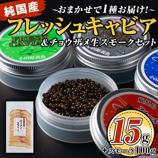 isa557 〈毎月数量限定〉おまかせフレッシュキャビア(15g×1種)＆チョウザメスモーク(100g×1P)セット 国産 詰合せ 魚卵 白身 おつまみ 世界三大珍味 加工品 冷凍 冷凍便 セット【小田原養魚】