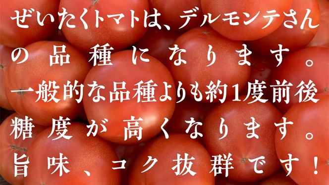 ぜいたくトマト！ 約2kg × 2箱 合計 約4kg ( 18～24個 ) トマト 大玉トマト  新鮮 美味しい 野菜 [J011-NT]