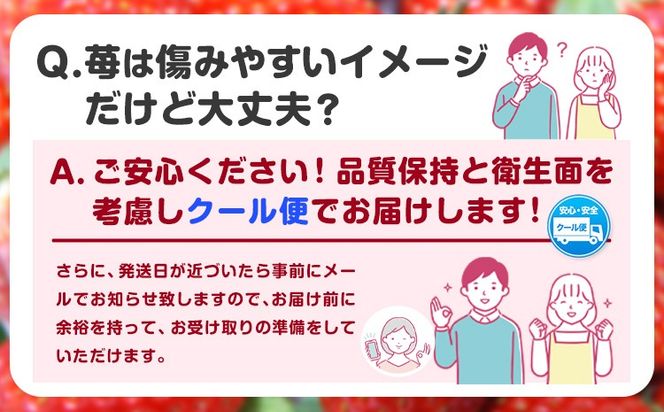 【先行予約】紀州和歌山ブランドいちご「まりひめ」約250g×4パック 約1kg 株式会社魚鶴《2026年3月上旬-3月下旬頃より出荷予定》和歌山県 日高川町 いちご 苺 まりひめ フルーツ 果物 スイーツ 送料無料---wshg_cuot98_3j3g_24_17000_4p---