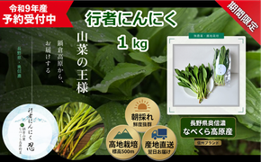 【令和9年産先行予約】行者にんにく 忍 1kg入り　1箱(140枚～150枚)《出荷時期：2027年5月中旬頃〜》株式会社ForestDoor (Ce-013)