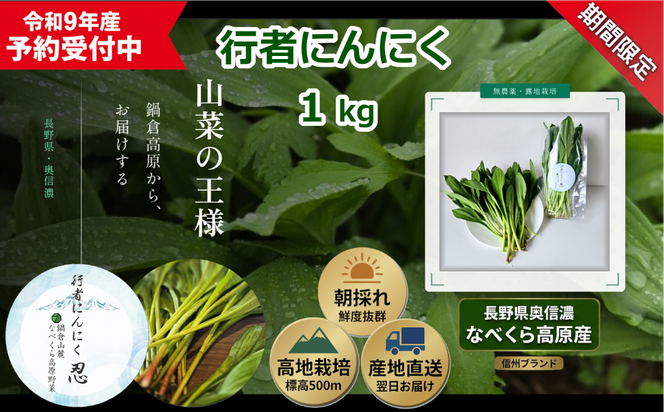 【令和9年産先行予約】行者にんにく 忍 1kg入り　1箱(140枚～150枚)《出荷時期：2027年5月中旬頃〜》株式会社ForestDoor (Ce-013)