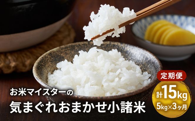 【古久庄 村松商店】お⽶マイスターの気まぐれお任せ⼩諸⽶ 3ヶ月定期便（5kg）信州 長野 ごはん ご飯 コメ コシヒカリ あきたこまち つきあかり 風さやか ひとめぼれ ゆうだい24 ブレンド米