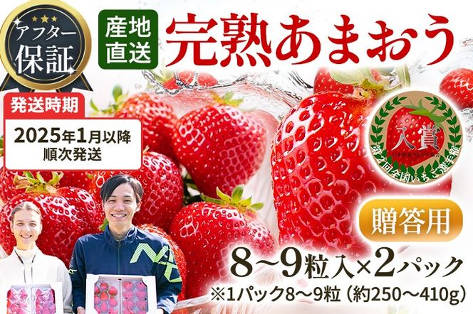 アフター保証 あまおう 8～9粒入り×2パック （先行受付／2025年1月以降順次発送予定）いちご 大粒 不揃い DX デラックス エクセレント 苺 イチゴ 福岡高級 フルーツ 土産 福岡県