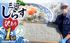 訳あり こモリ1kg！バラエティ豊富な三河しらす～海の仲間たち～ 魚介類 しらす シラス 国産 海の幸 ご飯のお供 おつまみ しらす丼 グルメやみつき 冷凍　H018-046