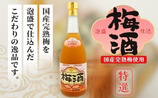 おもと3年古酒＆おもと梅酒セット 【沖縄県 石垣市 石垣島 酒 泡盛 梅酒 セット 】 TS-3