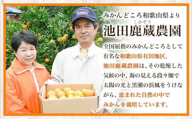 厳選 樹上完熟 はっさく 八朔 みかん 5kg＋250g 傷み補償分 池田鹿蔵農園 @日高町《4月上旬-5月末頃出荷》和歌山県 日高町 送料無料 はっさくみかん ハッサク 厳選八朔みかん【配送不可地域あり】---wsh_idn321_4j5m_25_13000_5kg---