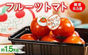 フルーツトマト糖度8.5度　約1.5kg ※2026年1月上旬～4月下旬頃に順次発送予定◆