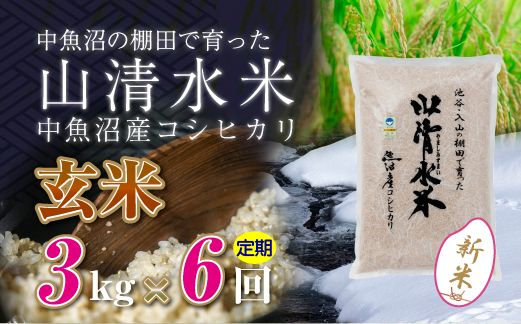 【令和8年産 新米】 【定期便／全6回】玄米3kg　新潟県魚沼産コシヒカリ「山清水米」十日町市 米