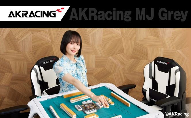 099H4788 AKRacing MJ Grey エーケーレーシング ゲーミングチェア ローバックチェア（ランバーサポート付き）