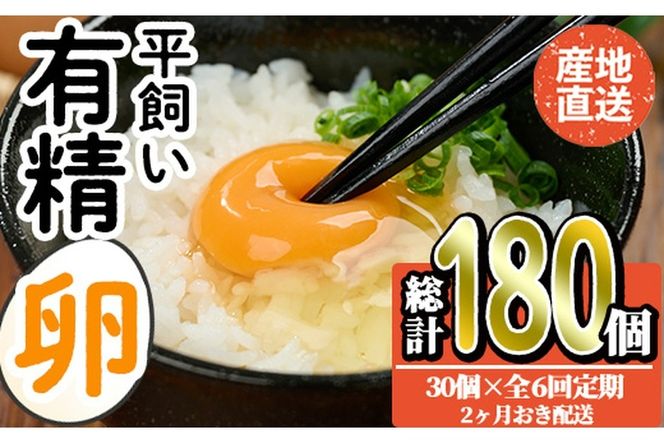 ＜定期便・全6回＞産直・平飼い有精卵 (総計180個・30個×6回(2ヶ月おき発送)) 卵 玉子 卵かけご飯 玉子焼き 平飼い 鶏 鶏卵 養鶏場直送 朝採れ 新鮮 大分県 佐伯市 【HM04】【佐伯養鶏場】