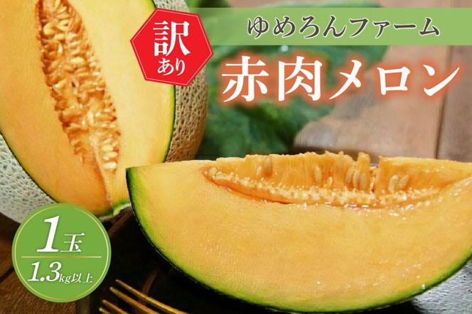 【先行予約／数量限定100】ゆめろんファームの赤肉メロン（訳あり品）（2025年6月上旬～発送）　DE00108