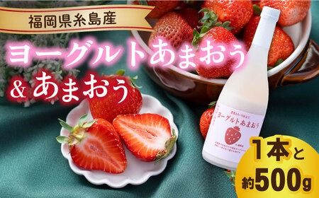 [先行予約][冬]ヨーグルトあまおう720ml×あまおう約250g×2パック [2025年12月上旬以降順次発送]糸島市 / 南国フルーツ株式会社 [AIK014] リキュール セット あまおう いちご 苺 イチゴ
