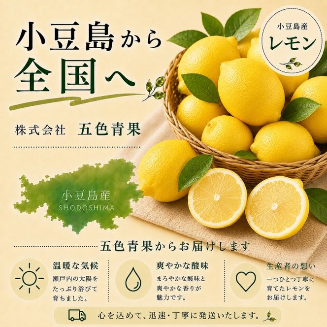 レモン 小豆島 瀬戸内 約3kg 15～30玉 小豆島育ち 島育ち まろやか 酸味 潮風 ミネラル 国産レモン 檸檬 柑橘 柑橘類 果物 フルーツ くだもの 果物類 果実 生鮮 レモネード レモンティー はちみつレモン ギフト 贈答用 五色青果 香川 土庄 香川県 土庄町