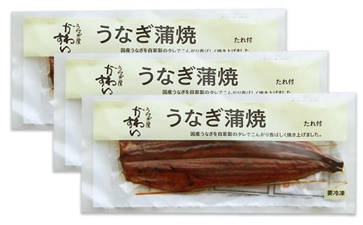 1175.超特大国産うなぎ3本セット(1尾：200~229g)(A1175-1)